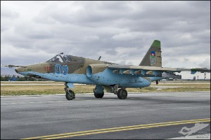 D7T_4194